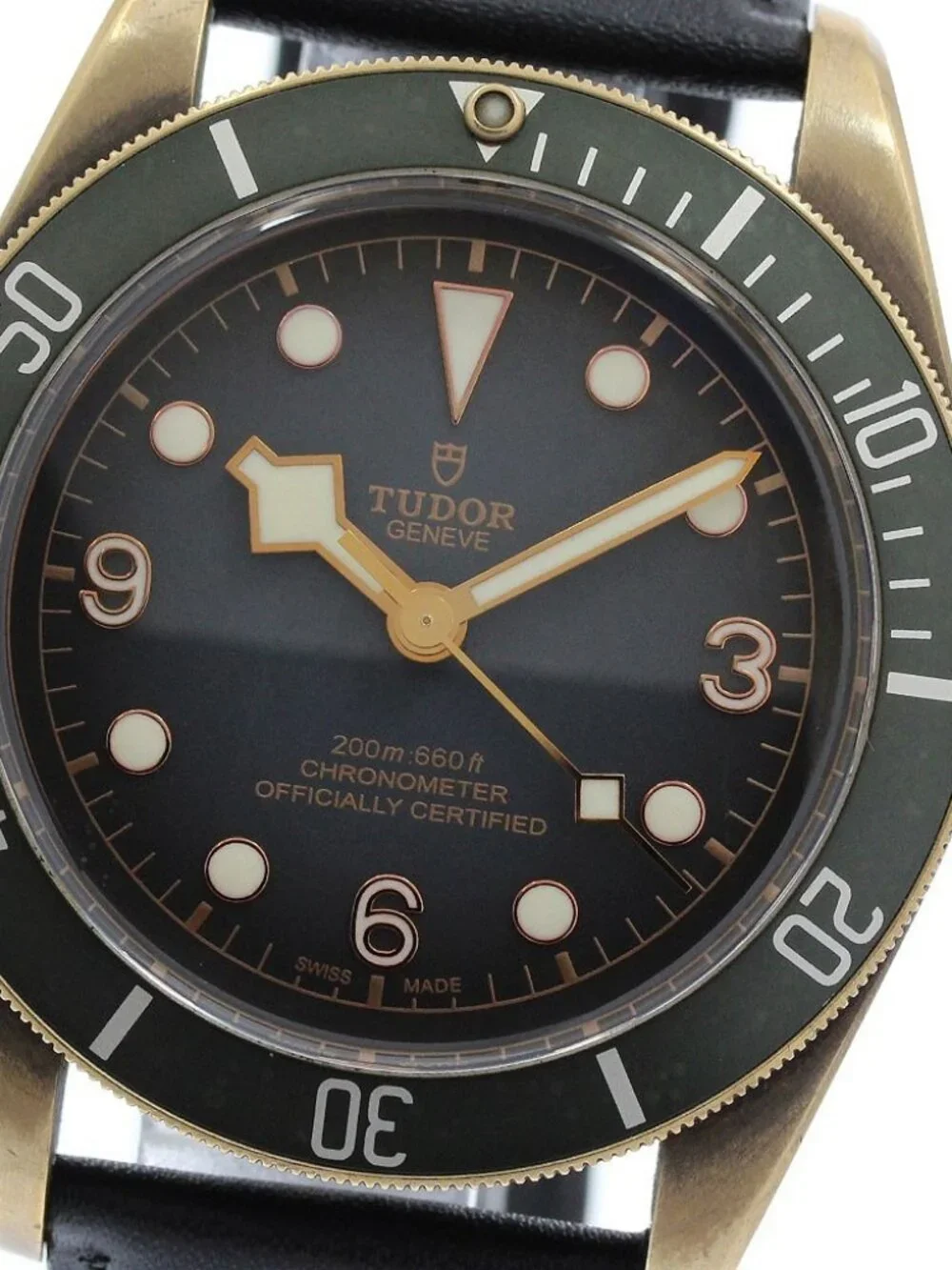 Tudor heritage black